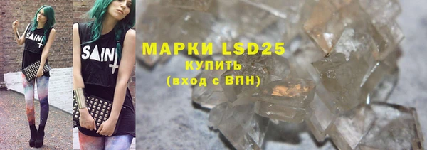индика Корсаков