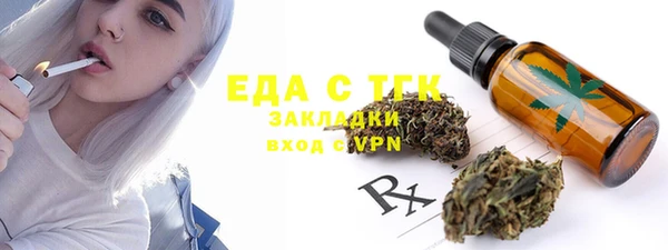 индика Корсаков