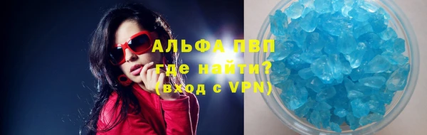 индика Корсаков