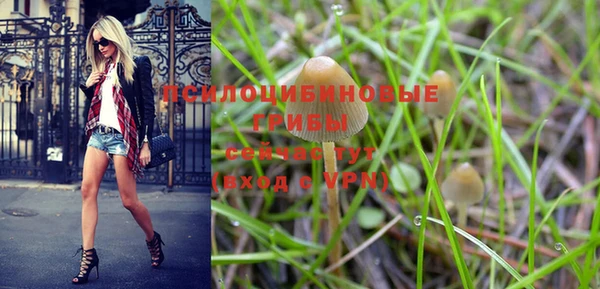 мдпв Гвардейск