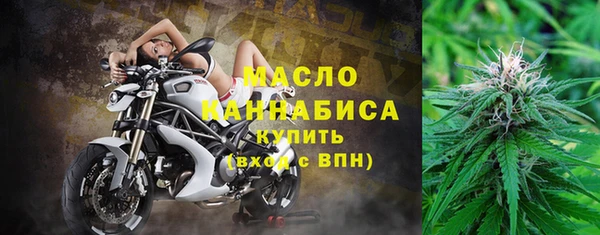 трава Коряжма