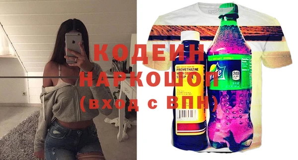индика Корсаков