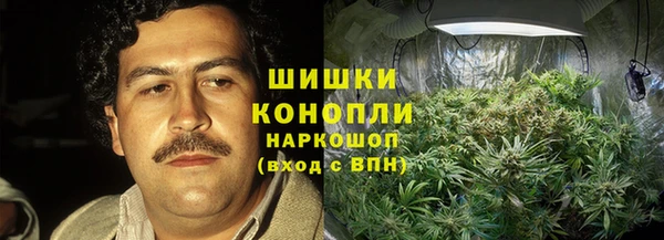 индика Корсаков