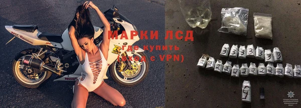 трава Коряжма