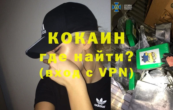 индика Корсаков