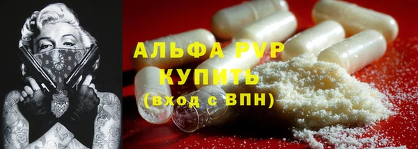 индика Корсаков