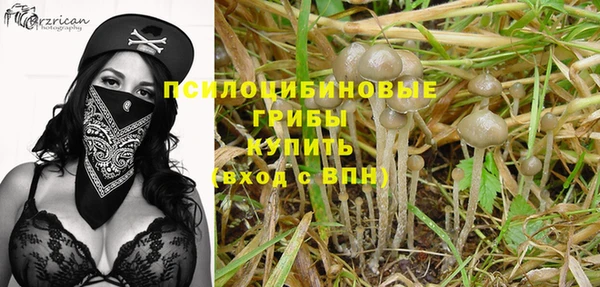 трава Коряжма