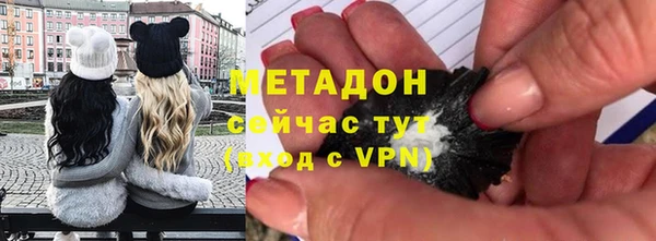 трава Коряжма