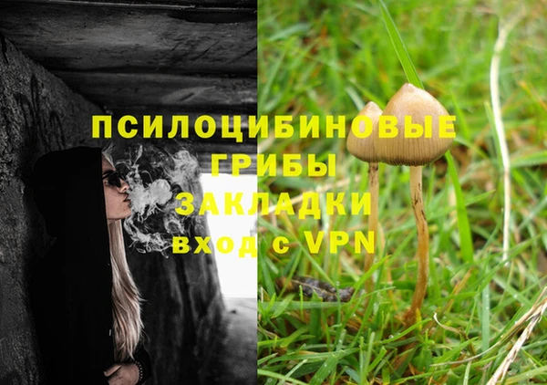 трава Коряжма